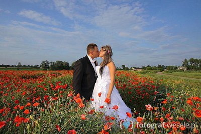 Fotograf na wesele: Arkadiusz, Płock - portfolio