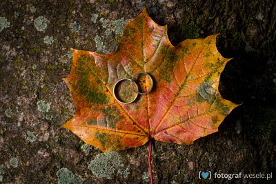 Fotograf na wesele: Marek, Inowrocław - portfolio