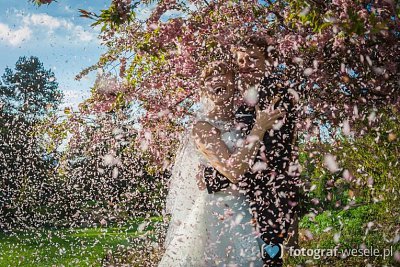 Fotograf na wesele: Aneta, Gniezno - portfolio