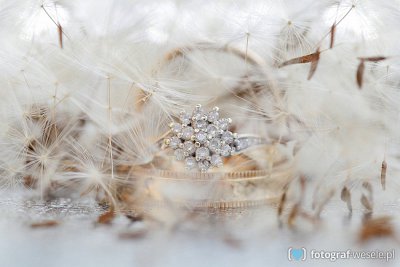 Fotograf na wesele: Marta, Oława - portfolio