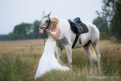 Fotograf na wesele: Piotr, Olsztyn - portfolio