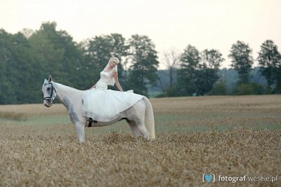 Fotograf na wesele: Piotr, Olsztyn - portfolio