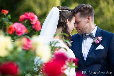 Fotograf na wesele: Paweł, Zielona Góra - portfolio