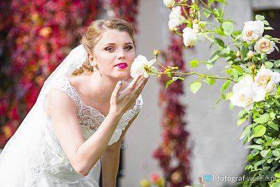 Fotograf na wesele: Dorota i Michał, Lublin - portfolio