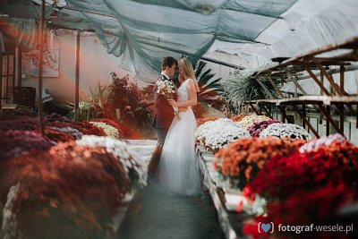 Fotograf Stanisław, Opole - fotografie na wesela - Głubczyce
