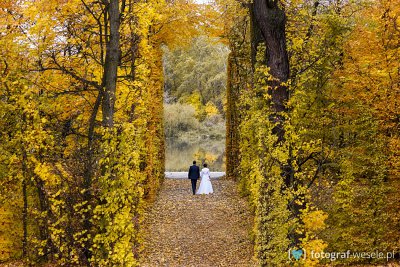 Fotograf na wesele: Mariusz, Ostrołęka - portfolio